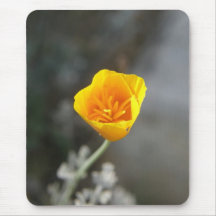 Mousepad Horizontal Template