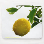 Mousepad - limão molhado na chuva mousepads