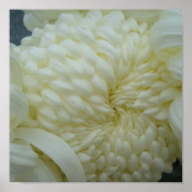 Mum branco pôsteres