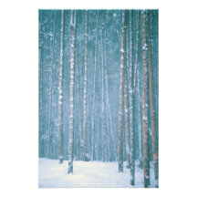 NA, EUA, WY. Cena nevado do inverno entre Arte De Fotos