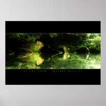 Na lagoa posters