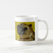 Não é a vida grande? 15 onças. Caneca