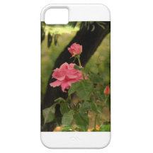 "Não há rosas sem espinhos " Capas De iPhone 5 Case-Mate