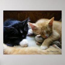 "Naptime " Posteres