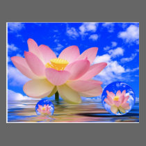 Nascer da flor de Lotus na água cartões postais