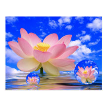 Nascer da flor de Lotus na água Cartões Postais