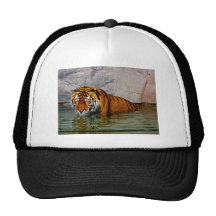natação do tigre bonés
