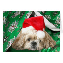 Natal cansado Shih Tzu Cartões