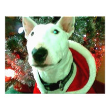 Natal de bull terrier convites personalizado
