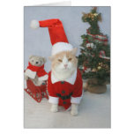 Natal de MEOWry! Cartoes