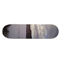 Natureza congelada da água skate