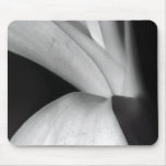 Natureza em preto e branco mousepad