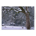 Neve da vizinhança cartão