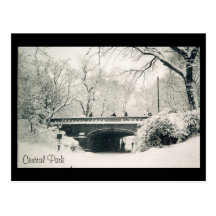 neve de Central Park Cartões Postais