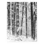 Neve do inverno cartão postal