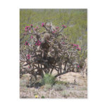 New mexico Cholla na flor Cartões Postais