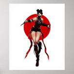Ninja Posteres