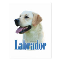 Nome amarelo de labrador retriever cartão postal