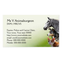 Nomeação veterinária e cartão de visita da prática