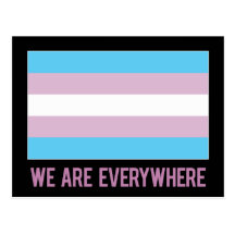 Nós estamos em toda parte cartão (o transgender) cartões postais