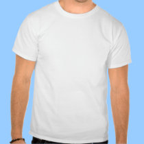 Nós não esqueceremos o furacão Katrina camisetas