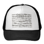 Notas musicais preto e branco bones