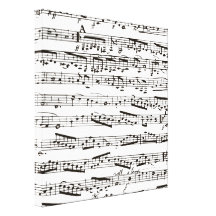 Notas musicais preto e branco impressão de canvas esticada