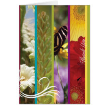Note Card_Thank você Cartao