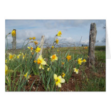 notecard da flor cartoes