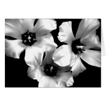 Notecard floral preto e branco cartao