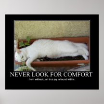 Nunca procure trabalhos de arte do gato do confort poster