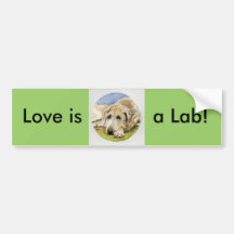 O amor é um laboratório! adesivo