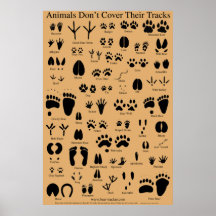 O animal segue o poster