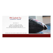 O atum do porto de pesca comercial PERSONALIZA Panfleto Informativo