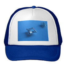 O BRINCO AZUL DO DIAMANTE JEWELS A JÓIA PHOTOGRA R BONES
