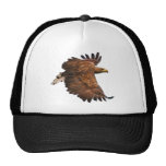O chapéu do camionista de Eagle em vôo Boné