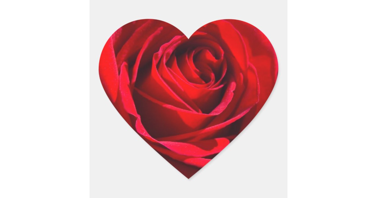 O coraç u00e3o vermelho escuro aumentou adesivo coraç u00e3o Zazzle Qual O Artesanato Das Ostras ~ O coraç u00e3o vermelho escuro aumentou adesivo coraç u00e3o Zazzle