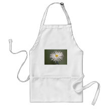 O crisântemo amarelo alonga-se (florista Chrysanth Aventais