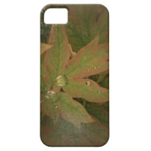 O dia novo jardina a folha A da peônia das capas d Capa iPhone 5 Case-Mate