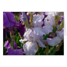 O dia novo jardina o Pride de Eelanor da Notecard- Cartões