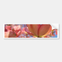 O DOGWOOD COR-DE-ROSA FLORESCE 4 canecas dos prese Adesivo