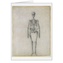 O esqueleto humano, vista anterior, da série cartões