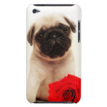 O filhote de cachorro do Pug e aumentou Capa iPod Touch Case-Mate