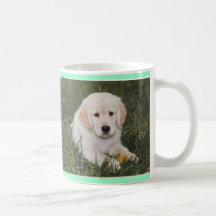 O golden retriever não pode ter uma caneca