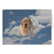 O golden retriever tem um cartão de aniversário ce
