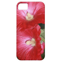 O Hawaiian vermelho do hibiscus floresce as pétala Capas iPhone 5 Case-Mate