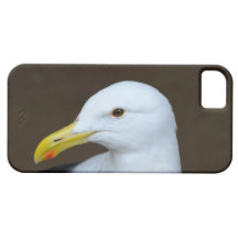 o iphone 5 encaixota - caso de Iphone 5 do pássaro Capa De iPhone 5 Case-Mate