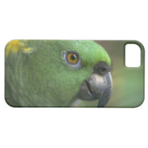 O iPhone bonito 5 encaixota o papagaio amarelo e v Capas De iPhone 5 Case-Mate