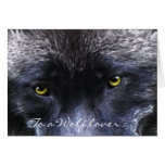 O LOBO CINZENTO EYES o cartão vazio do suporte dos