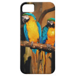 O macaw do azul e do ouro repete mecanicamente o c capa de iPhone 5 Case-Mate